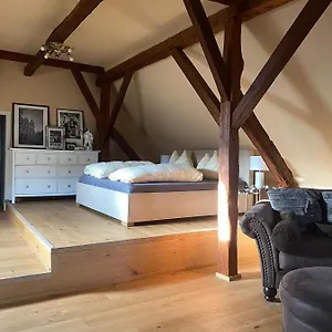 Altbauwohnung Mit Fachwerk Apartment Anif